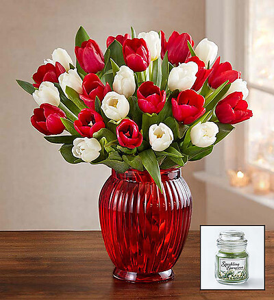 Holiday Tulips