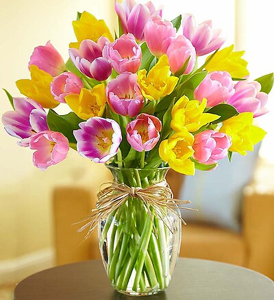Assorted Tulips in Vase