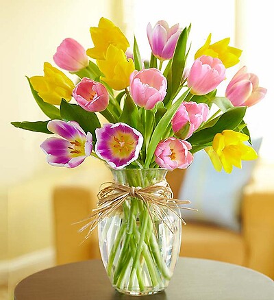 Assorted Tulips in Vase