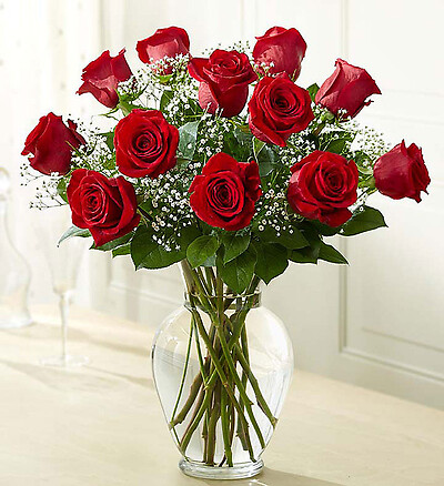 Rose Elegance&amp;trade; Premium Long Stem Red Roses