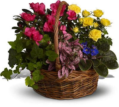 Blooming Garden Basket