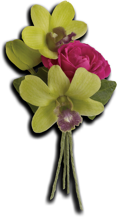 Orchid Celebration Boutonniere