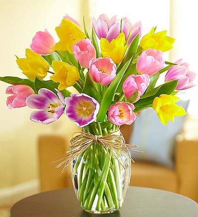 Assorted Tulips in Vase
